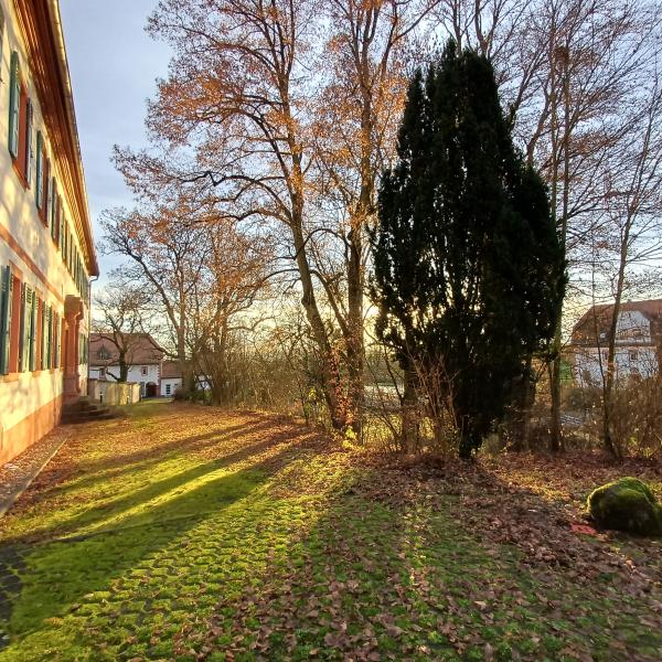 Wintermorgen am G&auml;stehaus 