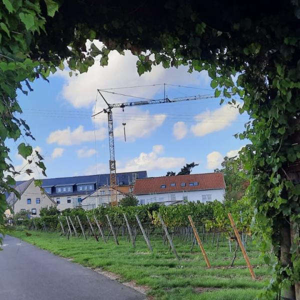 Blick durch das Binger Weintor auf unser zukünftiges Kloster (die beiden Gebäude rechts)