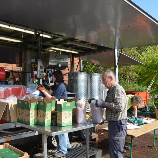 vom Apfel zum Saft 5