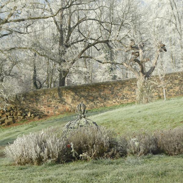 Wintermorgen im Garten 