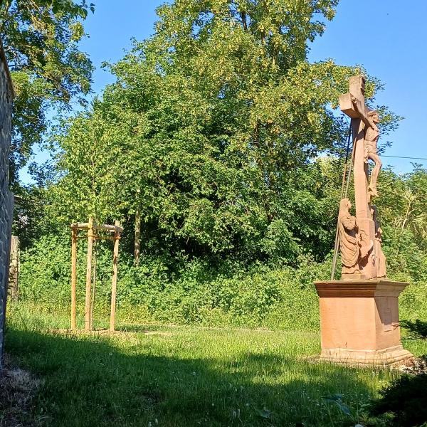 Feldkreuz mit neu gepflanzten Baum links hinten 