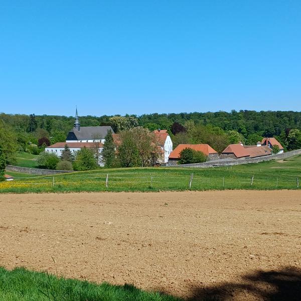 2026 Blick auf Engelthal vom Waldrand aus 