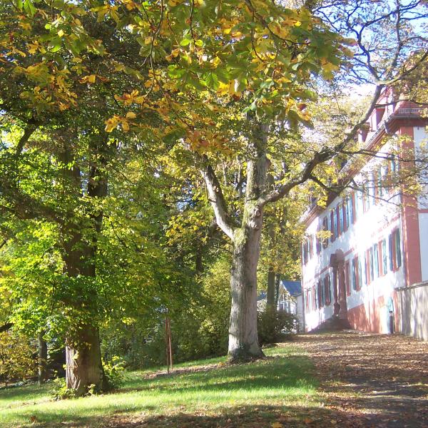 2026 &Auml;btissinnenhaus - G&auml;stehaus 