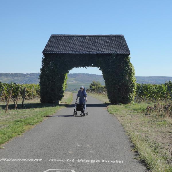 Wege, die f&uuml;r Rollatoren geeignet sind, im Hintergrund der Jakobsberg 