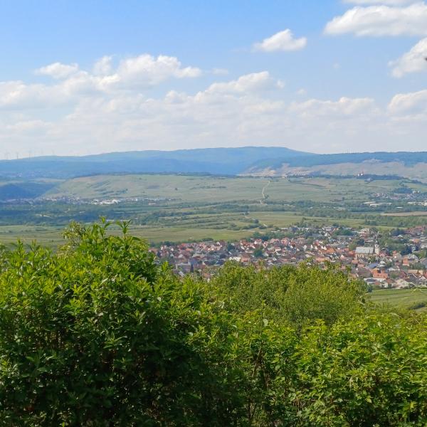 Mai 2026: Blick auf den lang gezogenen Rochusberg vom Jakosberg aus; unten Ockenheim, vort dort zieht sich der Jakobsweg auf den Rochusberg bis direkt vor unser Haus, rechts auf dem Bergr&uuml;cken die Rochuskapelle, links der steile Abhang ins Nahetal, rechts hinten Weinberge oberhalb von R&uuml;desheim und das Niederwalddenkmal, weiter links das Rheintal, links hinten die Berge des Hunsr&uuml;ck 