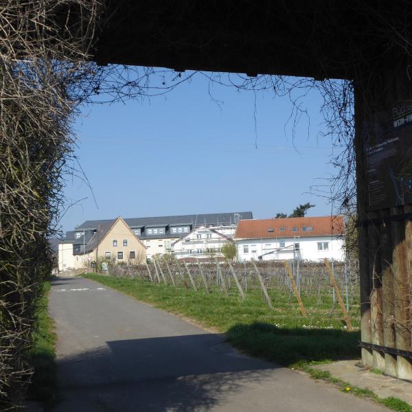 M&auml;rz 2026: Blick durch das Binger Weintor 